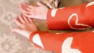 Jealous bahvior cats