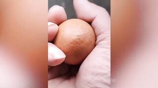 Best funny dog cat video rolling on the floor