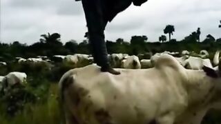 I thought I've seen it all!!