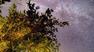 "Journey Through the Cosmos: Unveiling the Mysteries of the Universe" 2