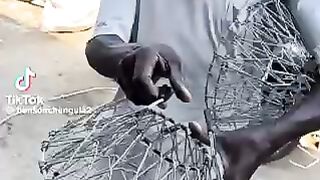 Talent of Africa
