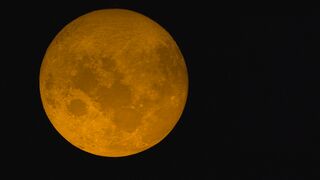 "Stargazing Guide: How to Observe the Night Sky for Beginners"