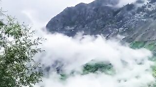 plzz #subscribe #like# n share nature #