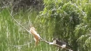 Kelucuan hari inii