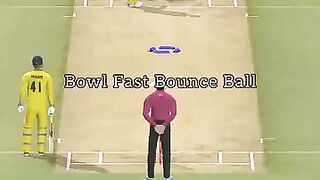How to take wickets in real cricket 24 2