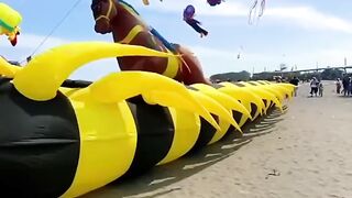 Kite festival 2