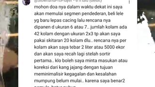 Dengan 42 unit kolam❗ Begini alur budidaya ikan lele segmen PENDEDERAN