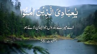Al Quran BEautiful Recitation