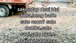 ayam broiler || kata kata lucu 300