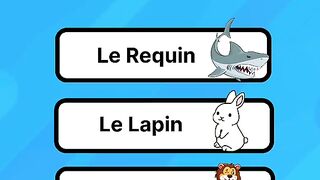 Quizz 4