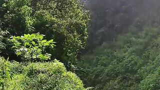 Very beautifull view