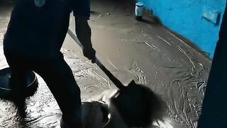 Cho em hỏi, đổ xi măng làm gì mà đổ dày thế mn