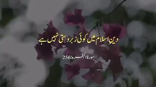 AL Quran Beautiful Recitation 3