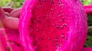 What fruit is this?