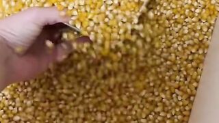 Satisfying Asmr of popcorn popping | satisfying video