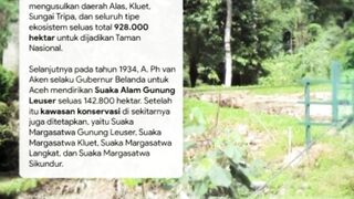 Mount Leuser National Park