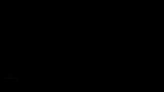 Arcadin_traoler