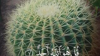 This video for Quran surah