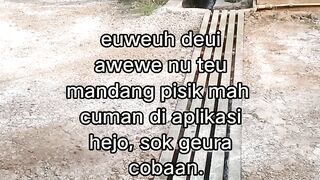 ayam broiler || kata kata lucu 308