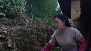 CHICKEN WINGS SOITED IN SOY SAUCE