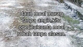 ayam broiler || kata kata lucu 309
