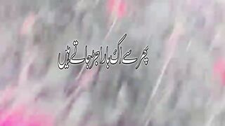 Phr say ek bar urjar jaty hen
