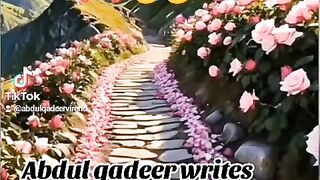 New sindhi funny