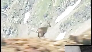 Top nature
