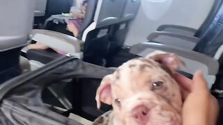When mommy take me home