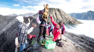 Mount Bromo is rich in biodiversity
