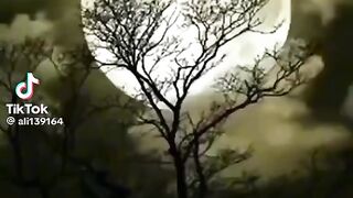 Old song 24
