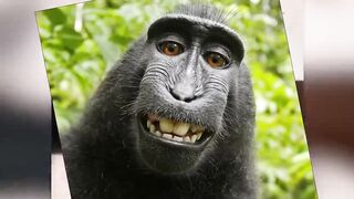 Life Could Be A Dream 6