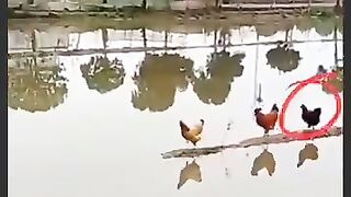Chacun à son rythme et à sa manière.