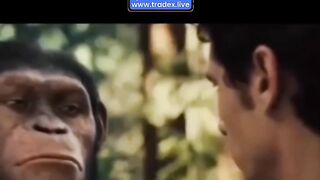 Funny videos 559