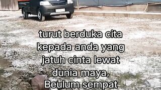 ayam broiler || kata kata lucu 310