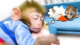 Funny monkey/naughty monkey ????