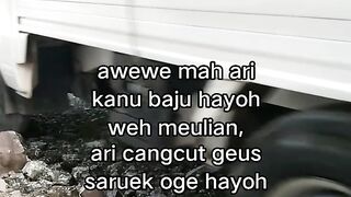 ayam broiler || kata kata lucu 311
