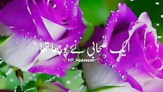 Razzaq5 -Beautiful video Nabi pak 'ﷺ' se ek Sahabi ne pucha????_Islamic what's app stetus__144p. plz subscribe and watch my video