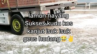 ayam broiler || kata kata lucu 312