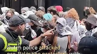 Dutch police attack pro-Palestine protesters in The Hague with batons