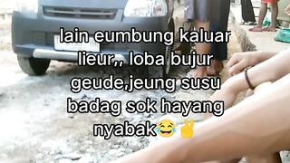 ayam broiler || kata kata lucu 313