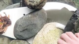 Under water valuable things 2