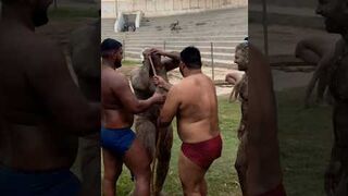 pehlwan bath summer season at akhada