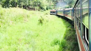 Train 14