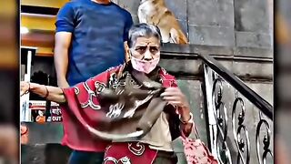 Dog Love By Humanity ???????? Sigma rule _ inspirational quotes _ motivational quotes #shorts #motivation