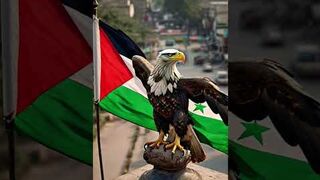 Free Palestine#IslamicInsightBy Husnain