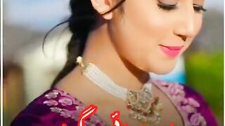 New potri