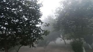 Punjab ka mosam