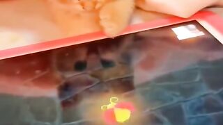 Funny videos