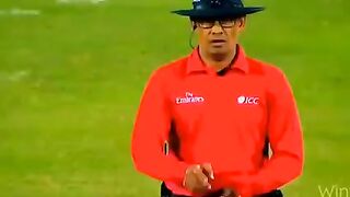 Cricket fans